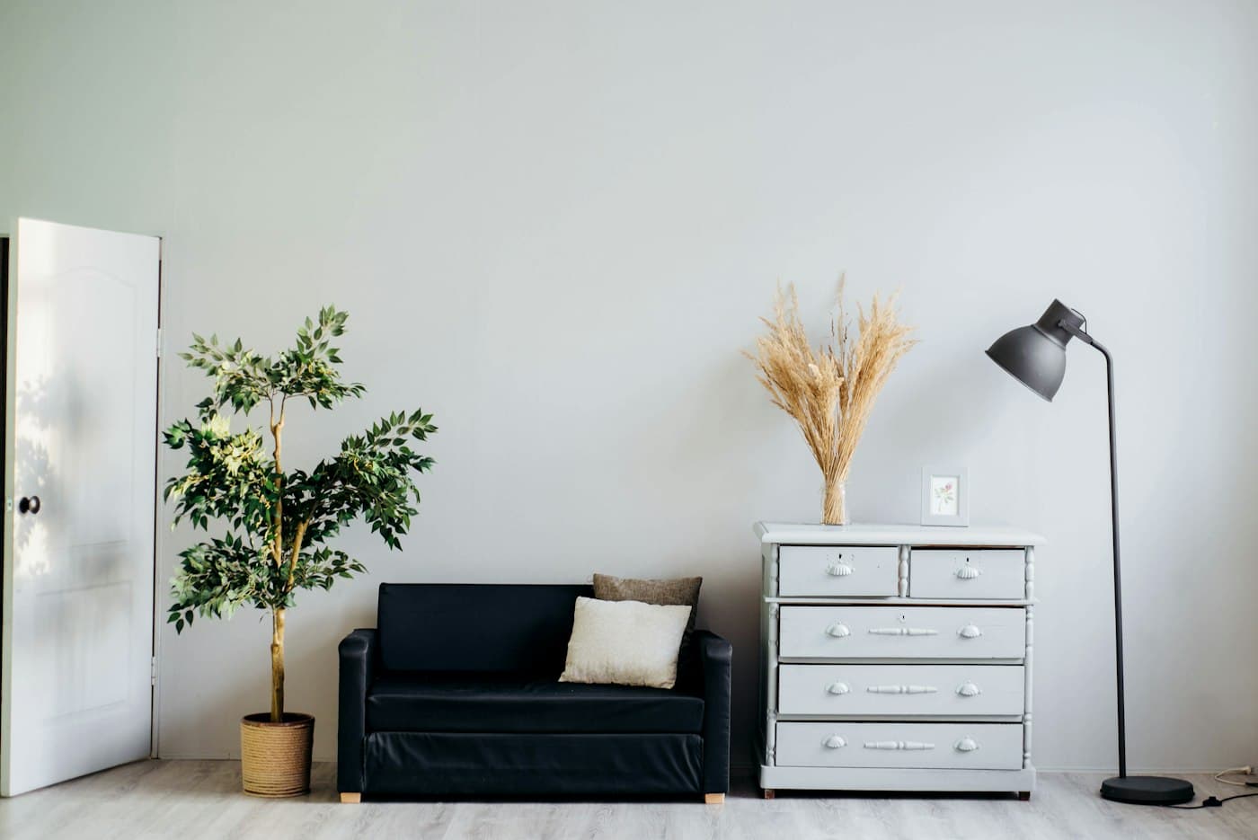 Minimal room with a low cabinet, plants and a floor lamp